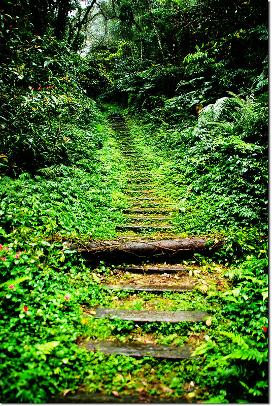 登山步道 1