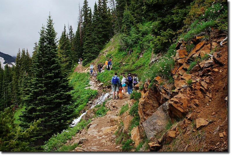 A lot of hiker on the trail