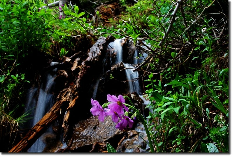 Waterfalls along the trail 10