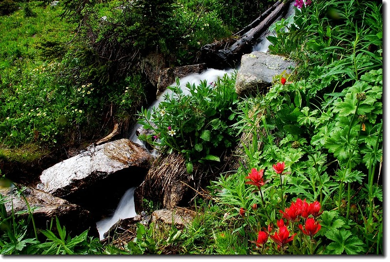 Waterfalls along the trail 8