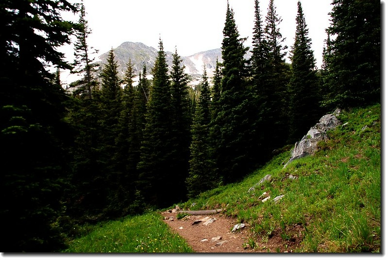The trail descends to the North Fork of Middle Boulder Creek