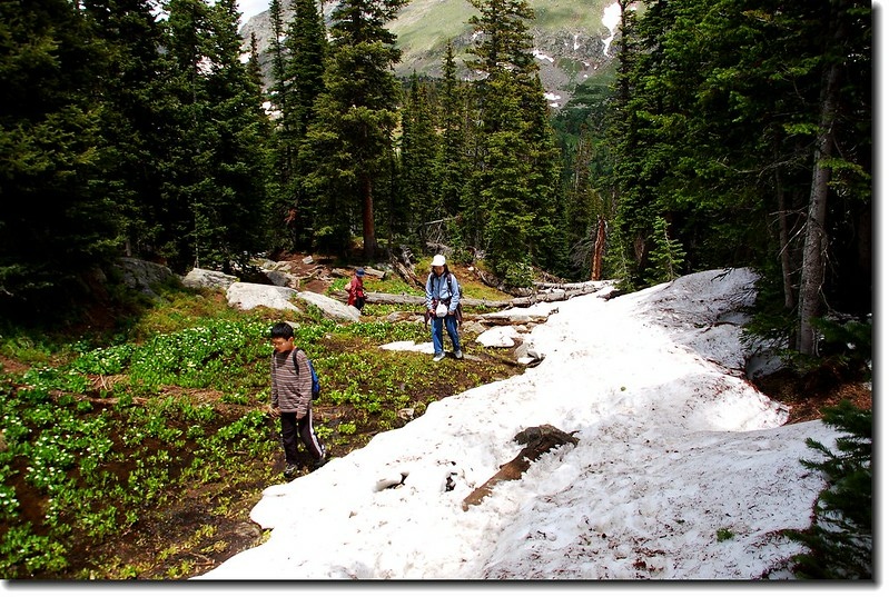Diamond Lake Trail 5