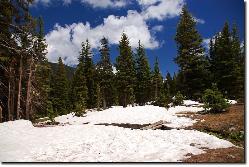 Diamond Lake Trail 7