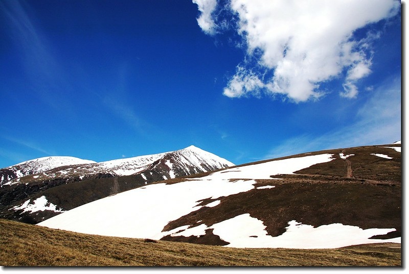 View to Mount Lincoln & Bross from the top of the knoll on trail 208