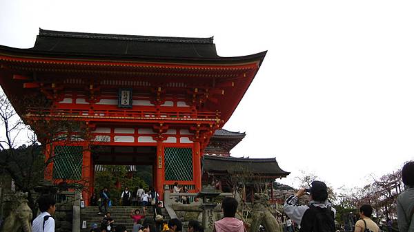 IMG_3879.JPG IMG_3879.JPG