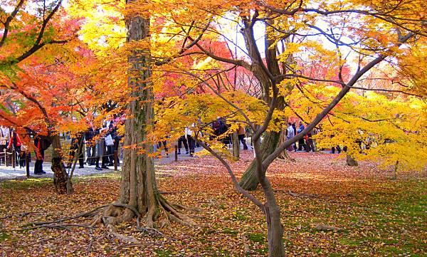 東福寺