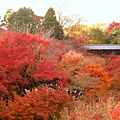 東福寺