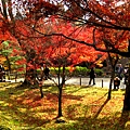 東福寺