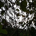 2011-10-01 17.54.25.jpg