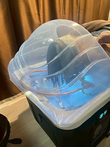 越式洗頭-台北推薦越式洗髮