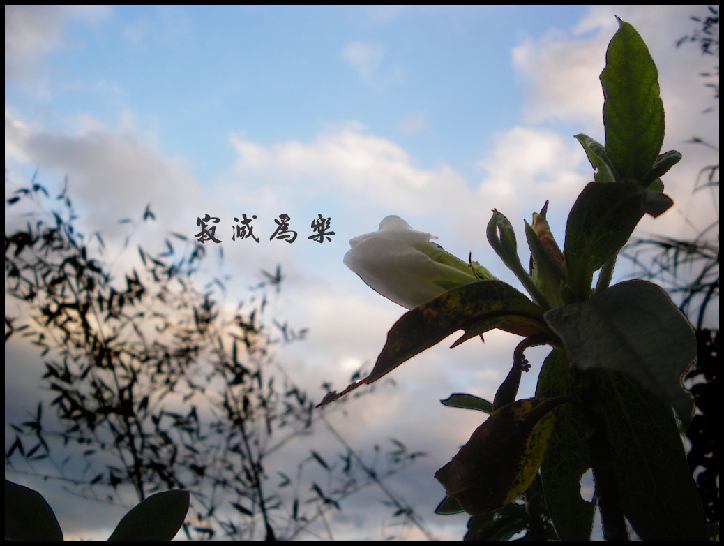 寂滅 寂滅