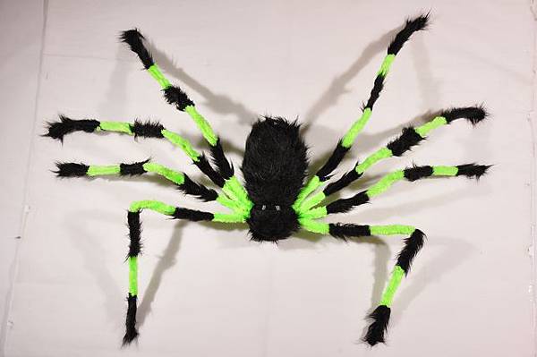 0100 蜘蛛 (綠黑,21.5x10.5x7)$269