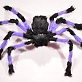 0100 蜘蛛 (紫黑,16.5x8.5x6)$150