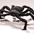 0100 蜘蛛 (黑,11x6.5x5)$99