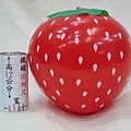0548-074 草莓球〈14吋〉$35