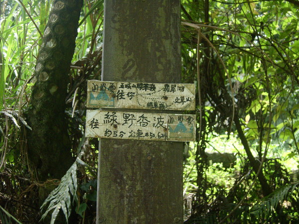 1010512土城天上山~五城山~將軍嶺~文筆山~五尖山(下