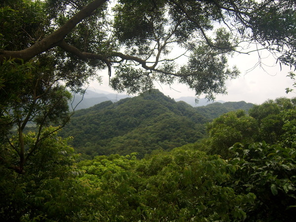 1010512土城天上山~五城山~將軍嶺~文筆山~五尖山(下