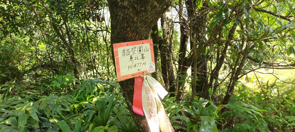 1120526貓空草湳大榕樹~貓空圓山東北峰~貓空圓山~南邦