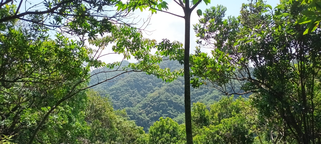 1120526貓空草湳大榕樹~貓空圓山東北峰~貓空圓山~南邦