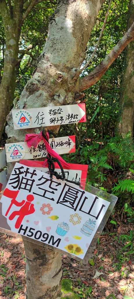 1120526貓空草湳大榕樹~貓空圓山東北峰~貓空圓山~南邦