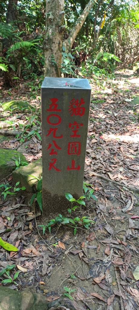 1120526貓空草湳大榕樹~貓空圓山東北峰~貓空圓山~南邦