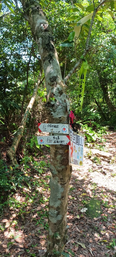 1120526貓空草湳大榕樹~貓空圓山東北峰~貓空圓山~南邦