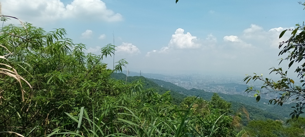 1120526貓空草湳大榕樹~貓空圓山東北峰~貓空圓山~南邦