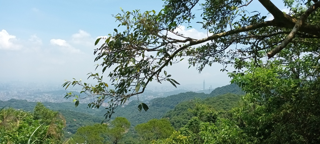 1120526貓空草湳大榕樹~貓空圓山東北峰~貓空圓山~南邦