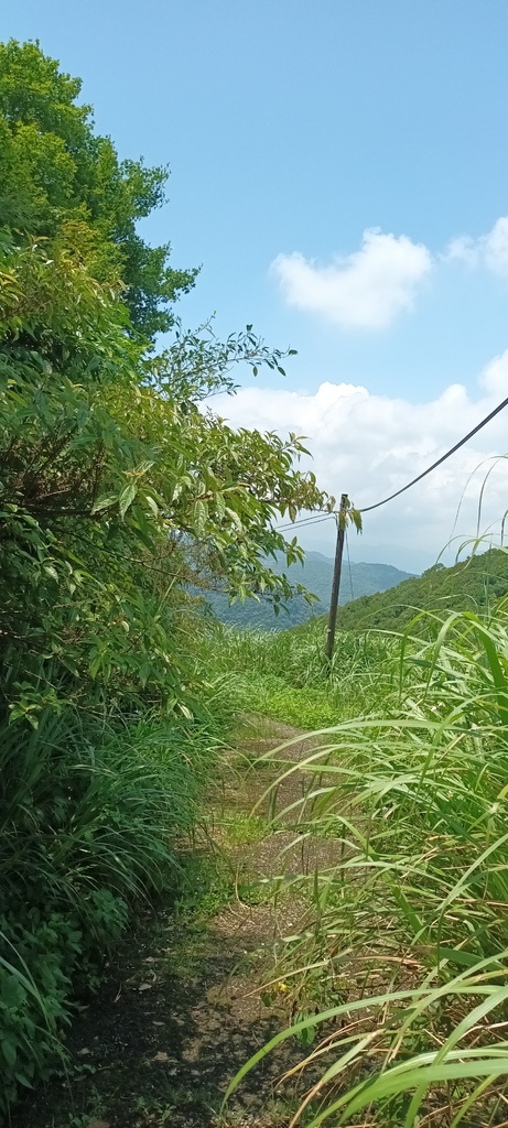 1120526貓空草湳大榕樹~貓空圓山東北峰~貓空圓山~南邦