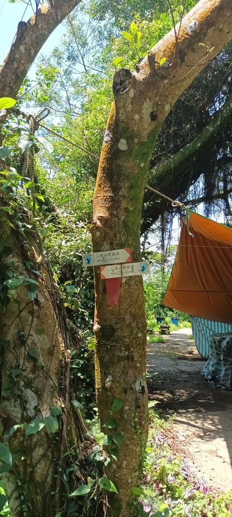 1120526貓空草湳大榕樹~貓空圓山東北峰~貓空圓山~南邦