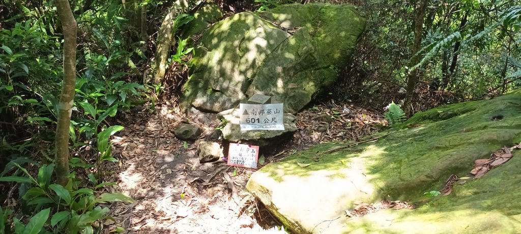 1120526貓空草湳大榕樹~貓空圓山東北峰~貓空圓山~南邦