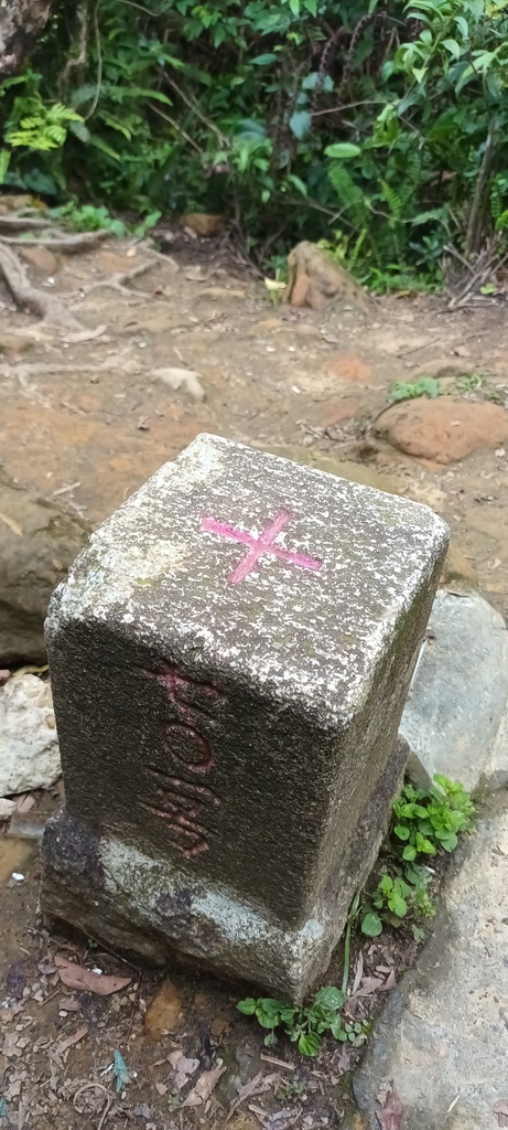 1120526貓空草湳大榕樹~貓空圓山東北峰~貓空圓山~南邦