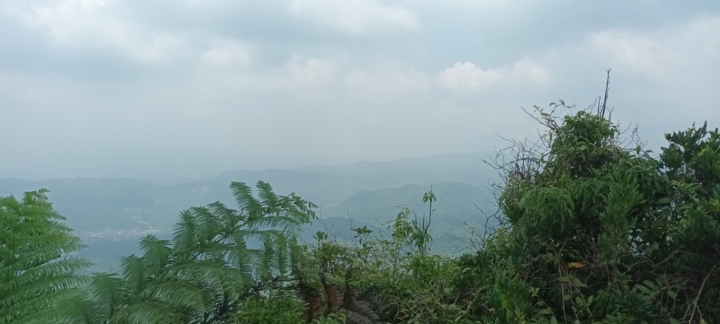 1120526貓空草湳大榕樹~貓空圓山東北峰~貓空圓山~南邦