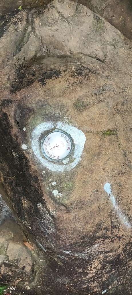 1120526貓空草湳大榕樹~貓空圓山東北峰~貓空圓山~南邦