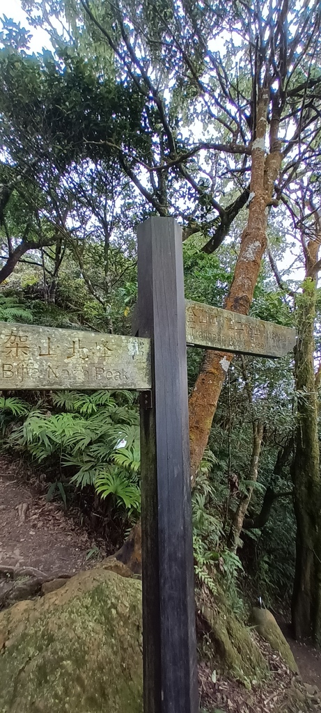 1120526貓空草湳大榕樹~貓空圓山東北峰~貓空圓山~南邦