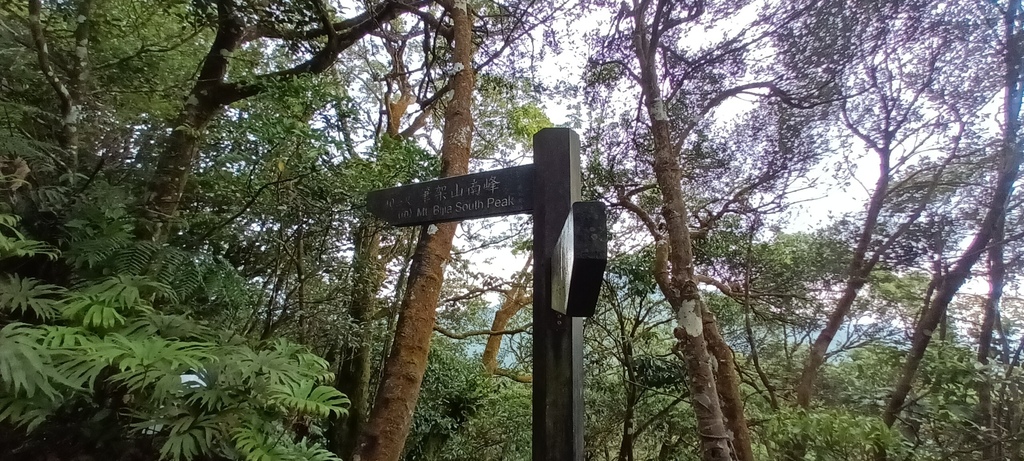 1120526貓空草湳大榕樹~貓空圓山東北峰~貓空圓山~南邦