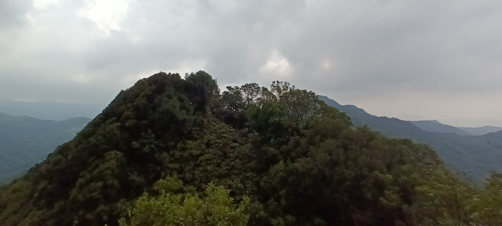 1120526貓空草湳大榕樹~貓空圓山東北峰~貓空圓山~南邦