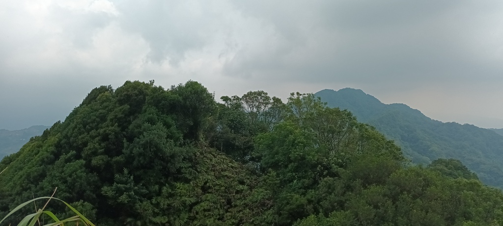 1120526貓空草湳大榕樹~貓空圓山東北峰~貓空圓山~南邦