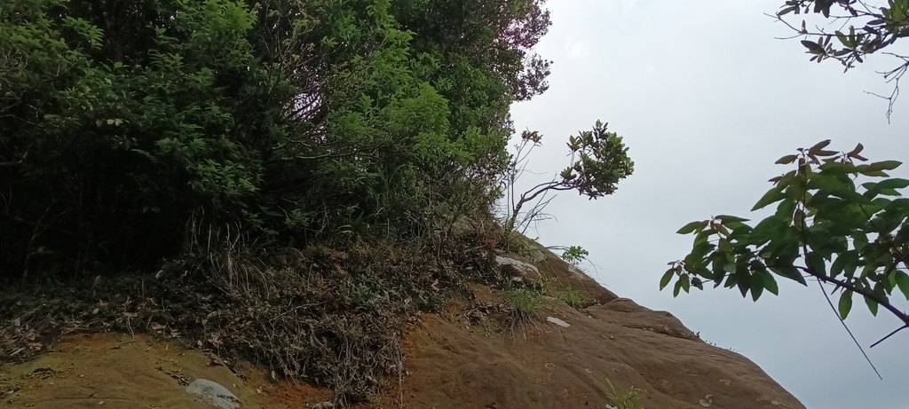 1120526貓空草湳大榕樹~貓空圓山東北峰~貓空圓山~南邦