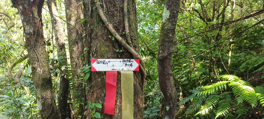 1120526貓空草湳大榕樹~貓空圓山東北峰~貓空圓山~南邦