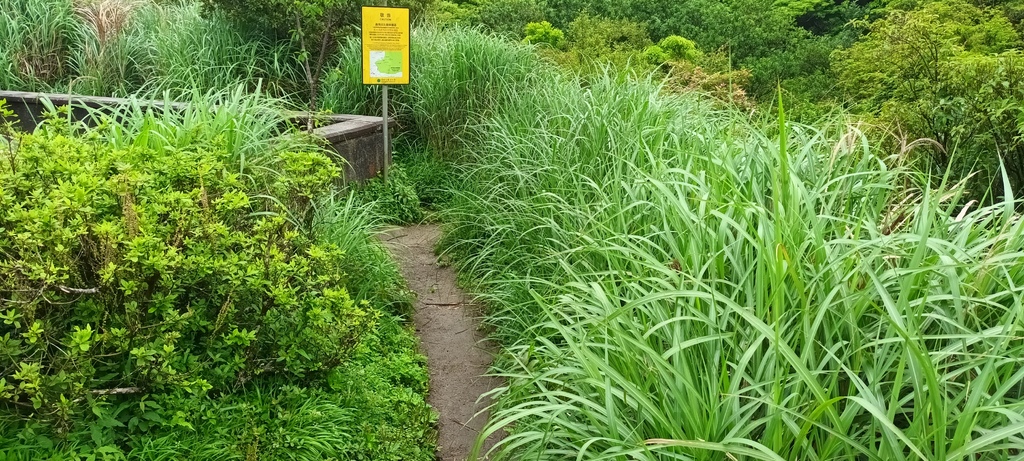 1120427小觀音山群峰Y型來回~大屯山鞍部停車場登山口、