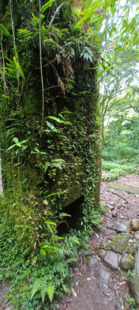 1120427小觀音山群峰Y型來回~大屯山鞍部停車場登山口、