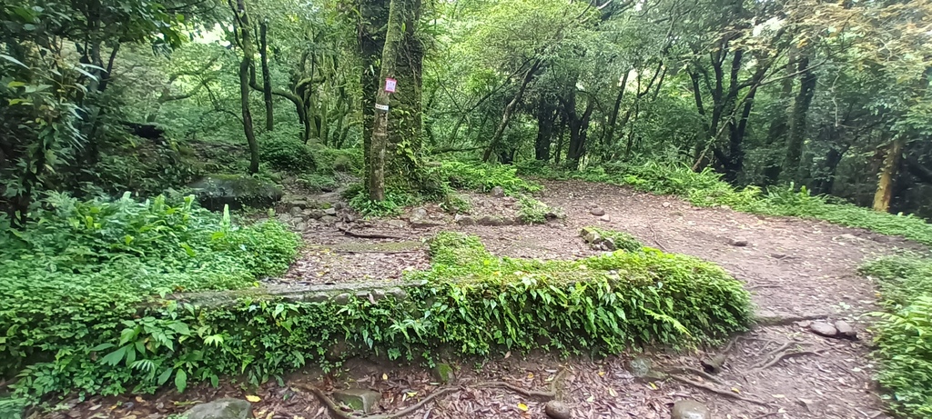 1120427小觀音山群峰Y型來回~大屯山鞍部停車場登山口、