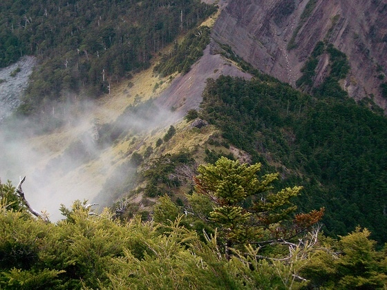 武陵遊客中心視聽室觀後感～回憶那一年的聖稜線。