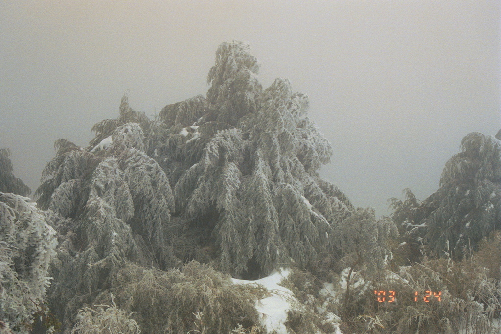 那一年雪很大路面結冰的舊天池山莊度假行~過年年假期間。