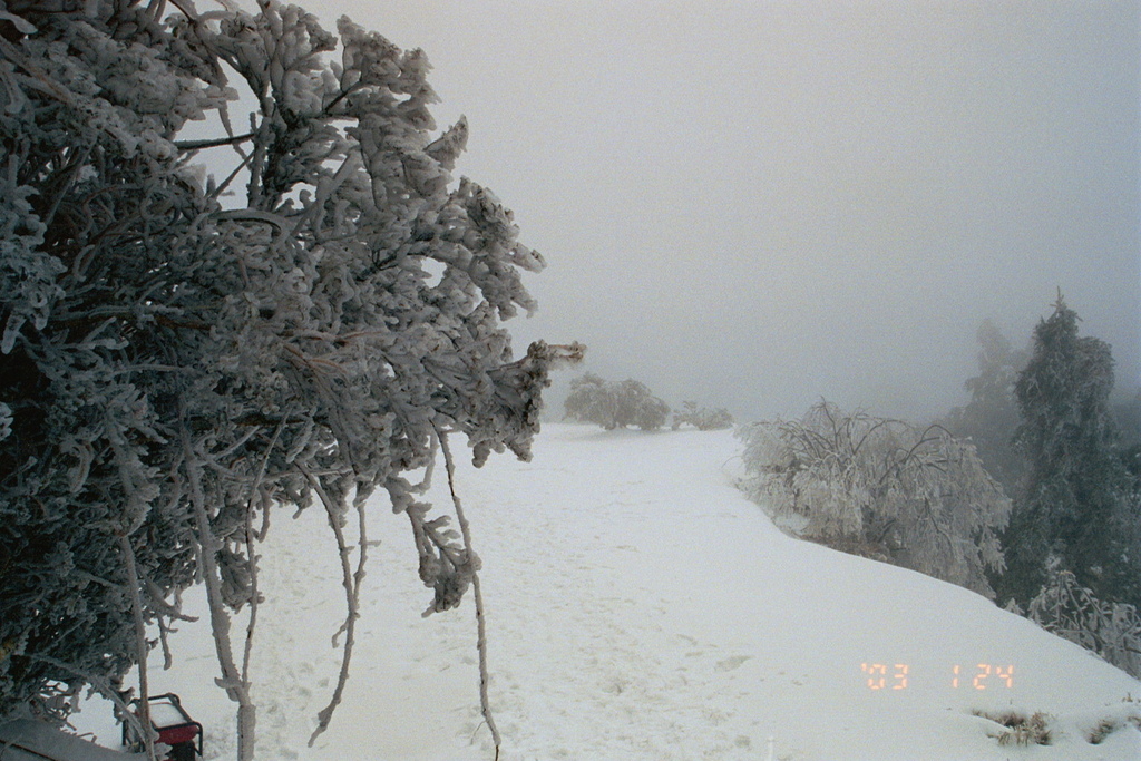 那一年雪很大路面結冰的舊天池山莊度假行~過年年假期間。