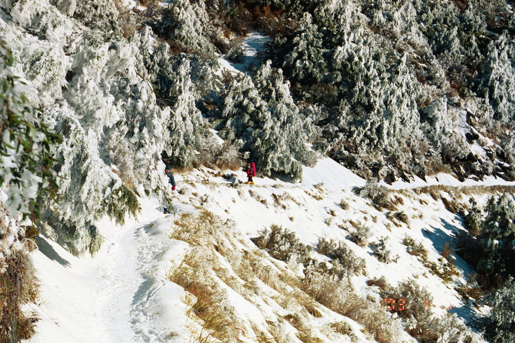 那一年雪很大路面結冰的舊天池山莊度假行~過年年假期間。