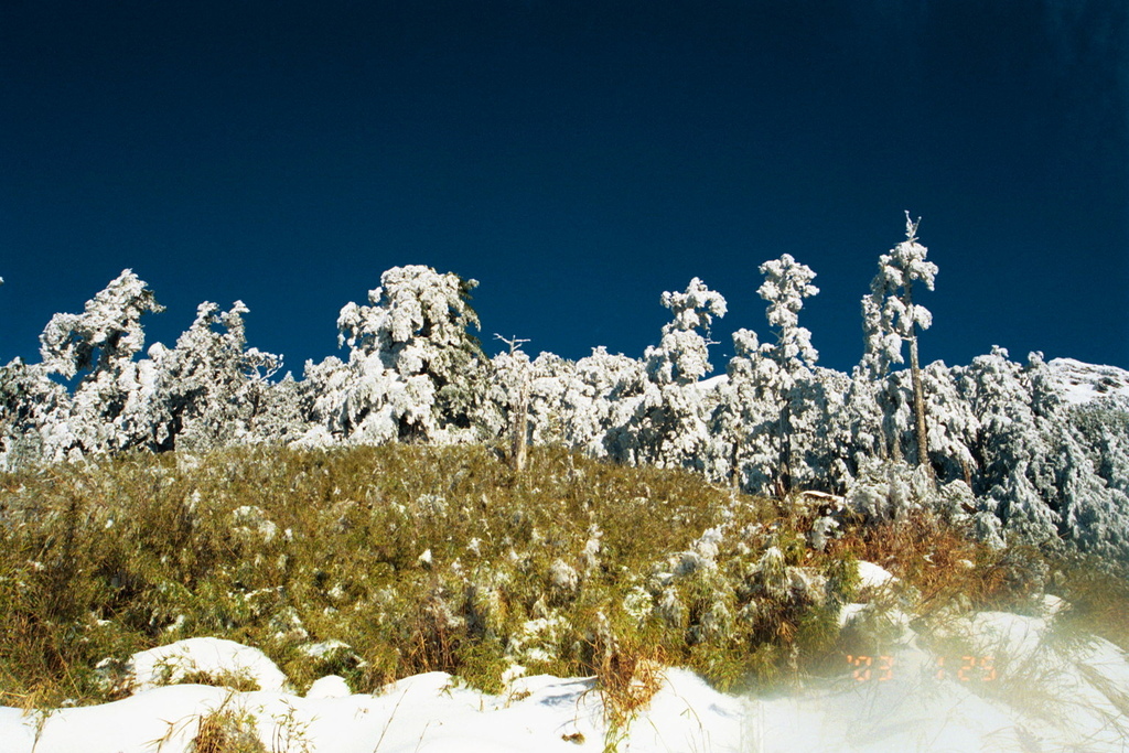 那一年雪很大路面結冰的舊天池山莊度假行~過年年假期間。