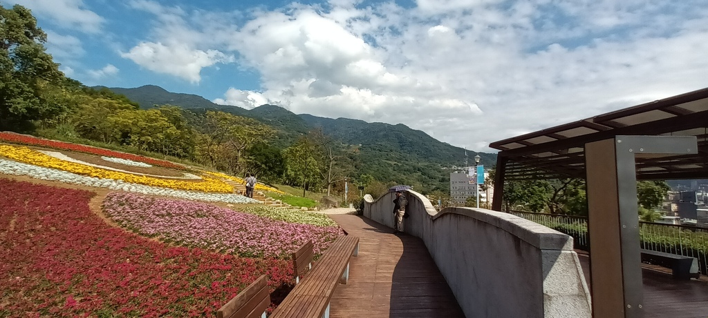 1130201北投社三層崎公園花海節活動(台版富良野)(三)