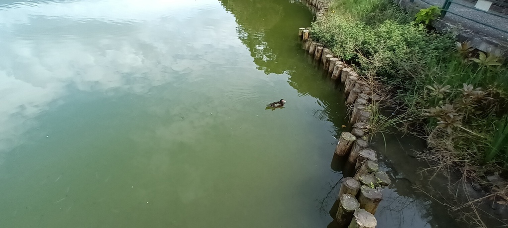 1130328宜蘭龍潭湖畔悠活園區遊~